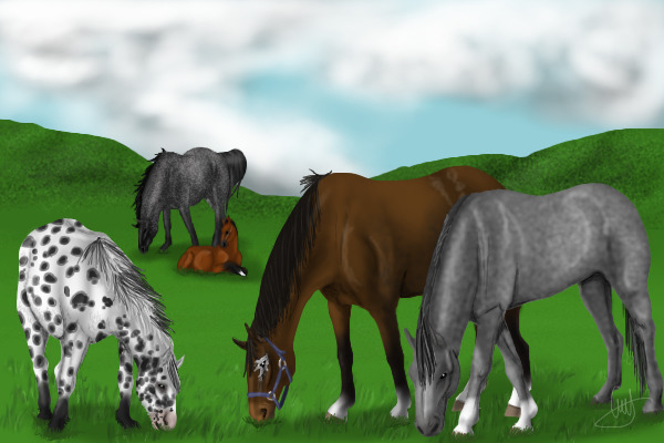 Graze