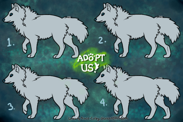 Wolf Adoptables Line
