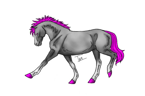 Rosa - Horse form