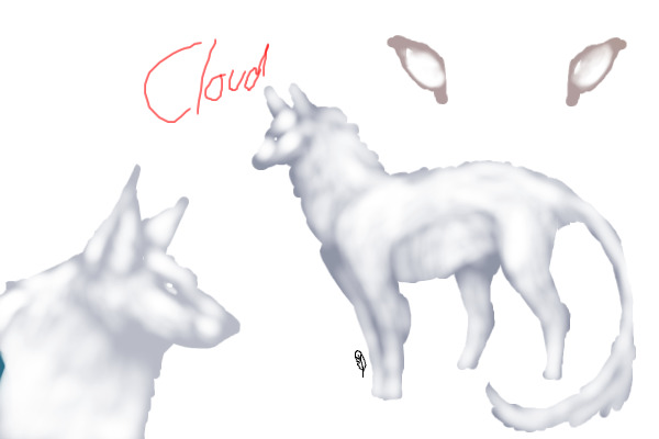 Cloud