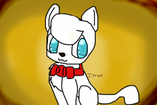 Ask Alto the Samoyed!