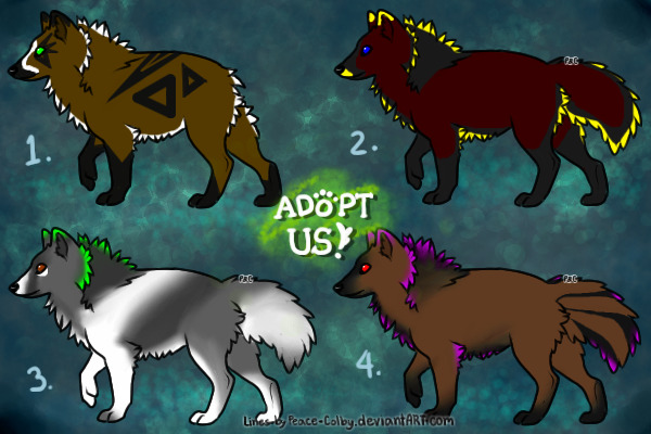 ADOPT US