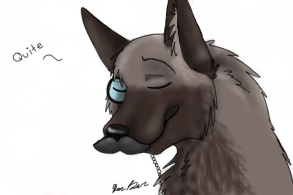 Firt time using my Intuous4