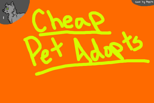 Cheap Pet Adopts, Customs, and Breeding!