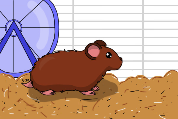 Hamster for 1dodge2