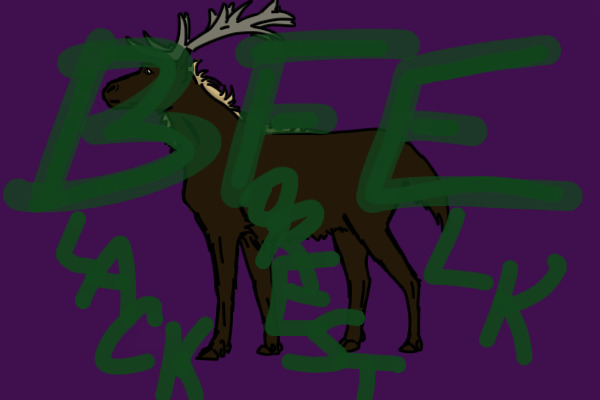 Black Forest Elk Adopts - OPEN!