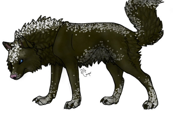 Spotted dog