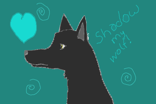 This is My wolf Shadow!