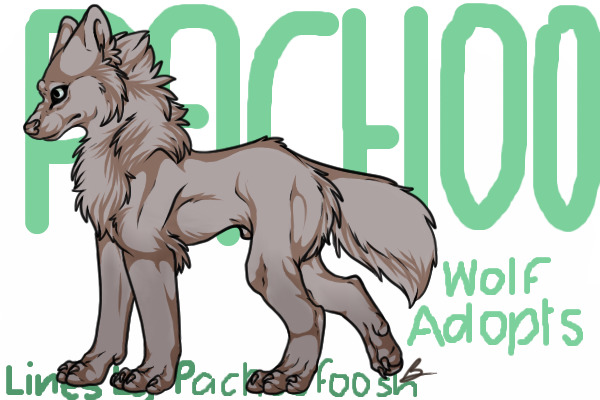 PACHOO Wolf Adopts ~ FREE!