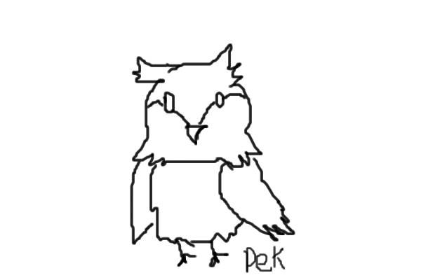 owl arty shop