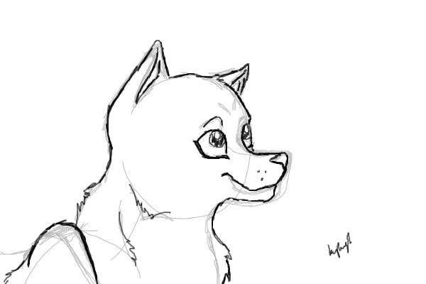 character...?