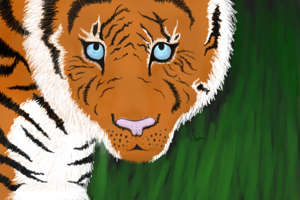 Realistic tiger C: