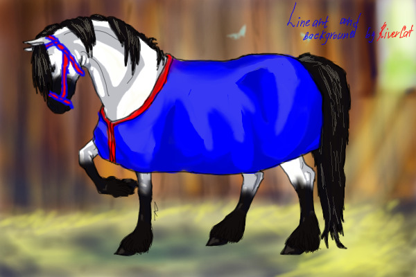 Sunny Days Horse Meadows Adopts
