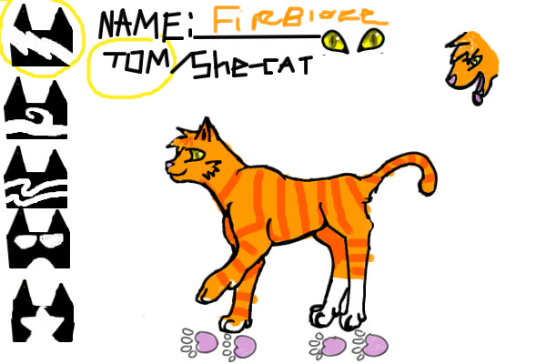 Fireblaze-ThunderClan Cat
