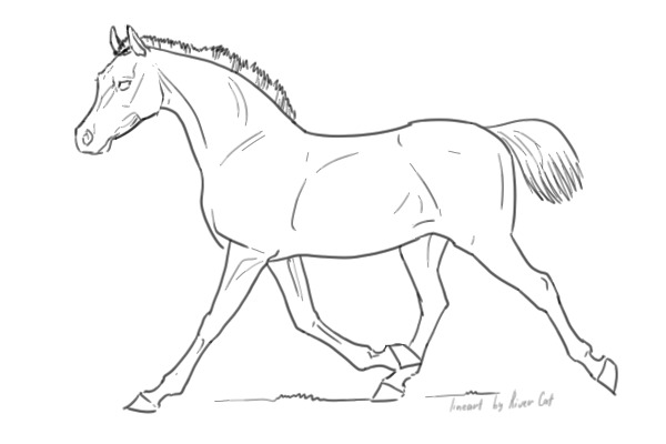 Custom lineart