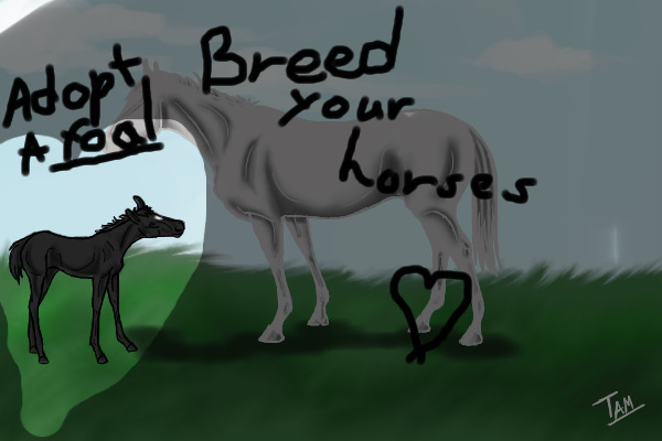 Sunny Days Horse Meadows FREE Breeding and Foal Adopts