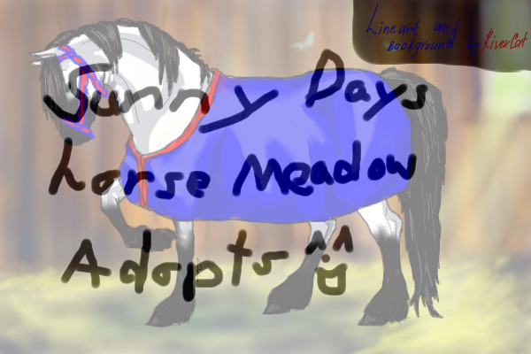 Sunny Days Horse Meadows and Stables Adopts