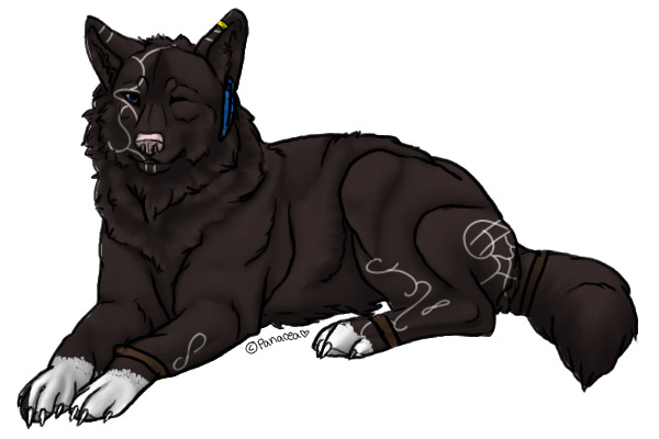 Updated Version of Sidka