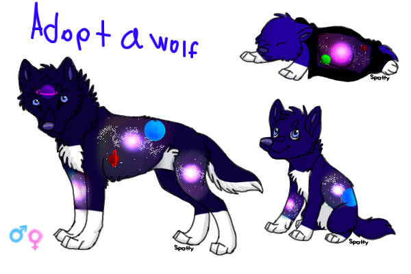 Adopt a wolf!