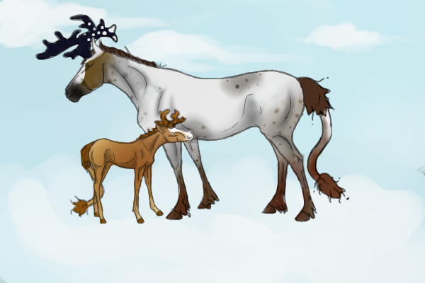 Niabi-Cato and Tempestine foal