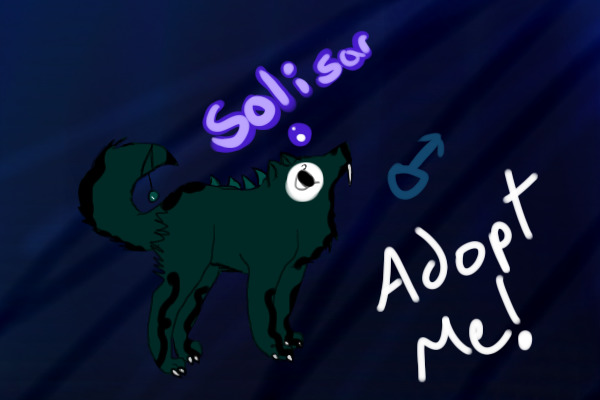 Solisar up for adopts!