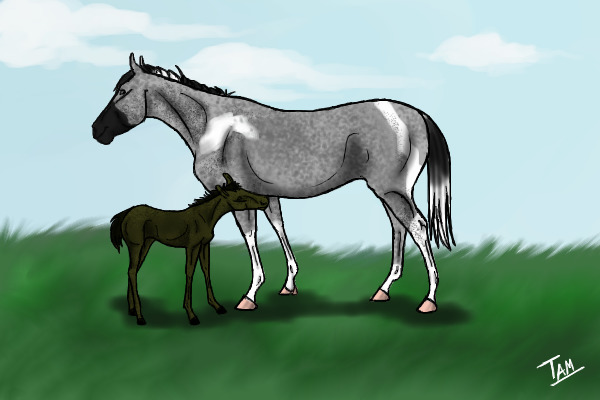 al-bo's Horses