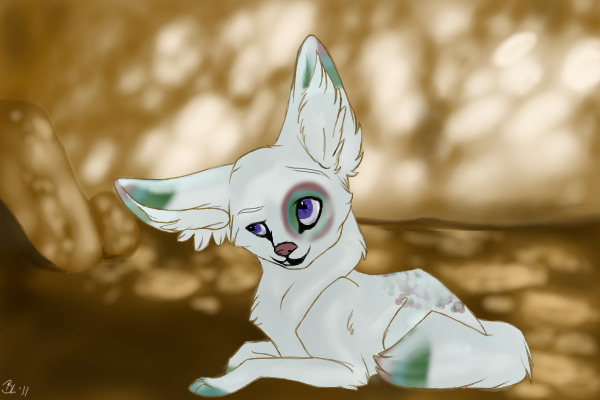 Fennec fox