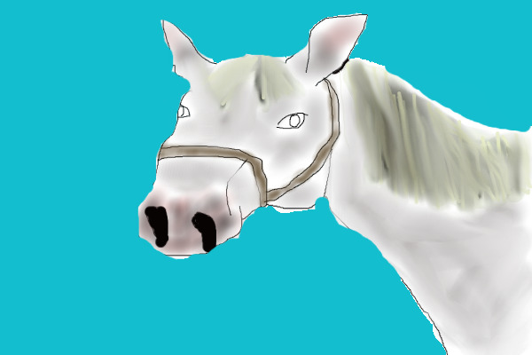 My "dream"Horse