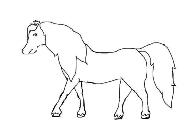 Fortunea Horse