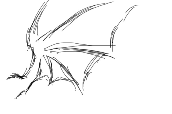 dragon's wing