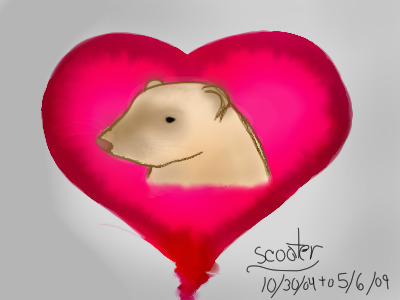 In memory of a great ferret....