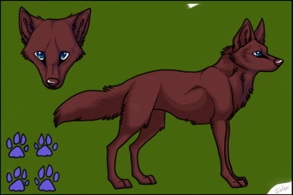 My Pack wolf Coloring