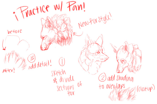 Fur Sketchin'!
