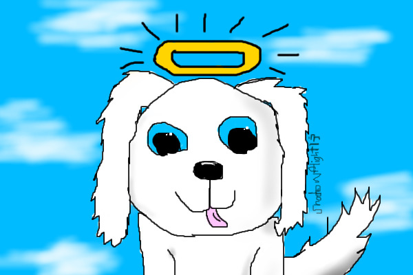 Angel Doggie!