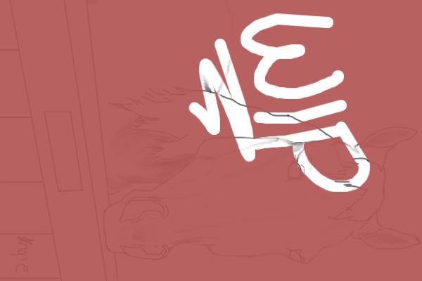 will finish this later