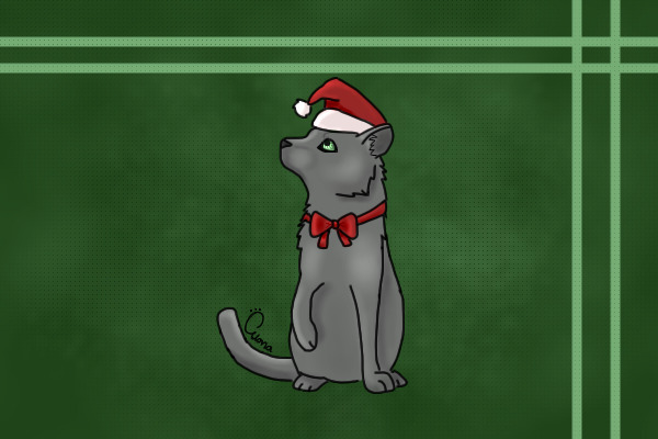 Christmas Kitty :3