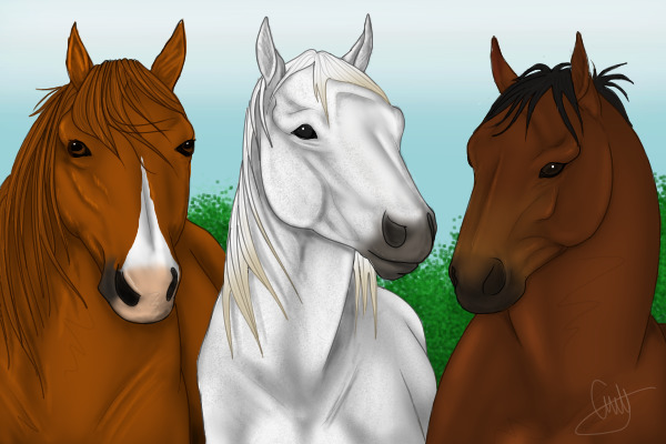 Hold Your Horses
