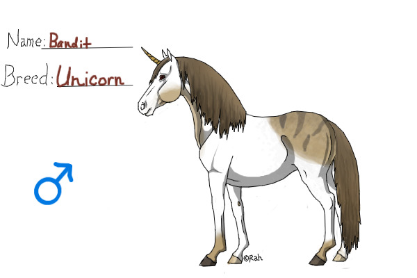 Bandit the Unicorn