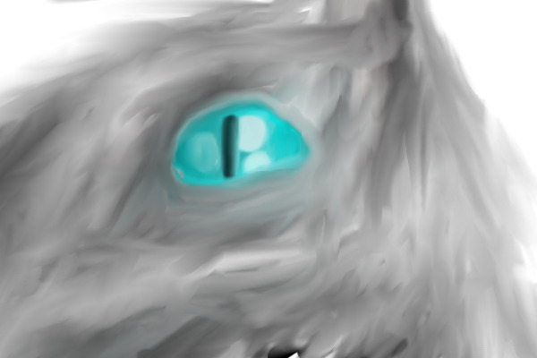 The eye of the Wolf