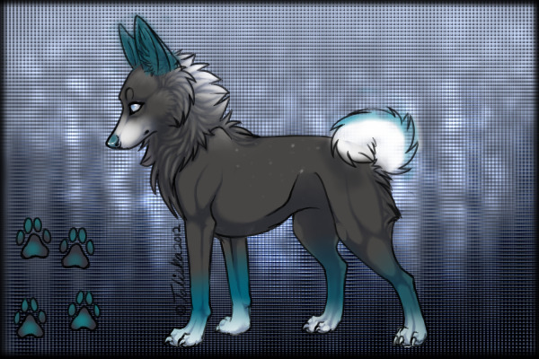 Fursona contest entry ^-^
