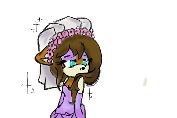 The almost bride