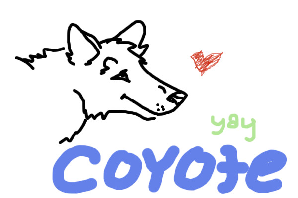 Coyote!