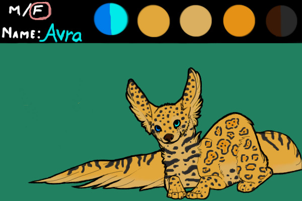 Avra - My First Wolvle
