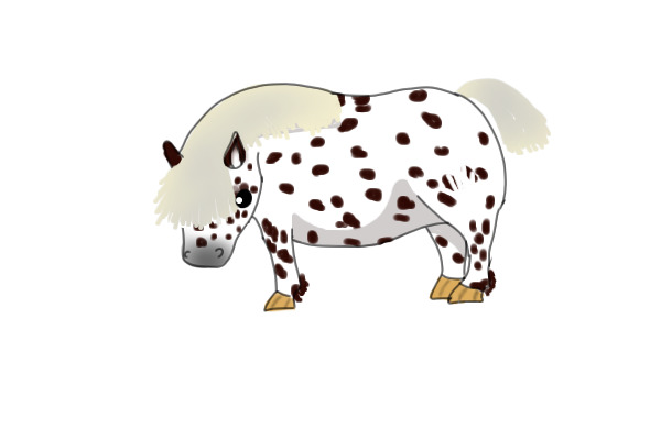 Chub for cn_spots