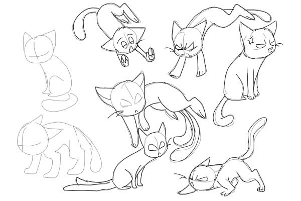 mostly angry cats