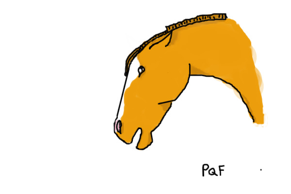 Pretty Pony (PPP lol you know what it means hehe :D)