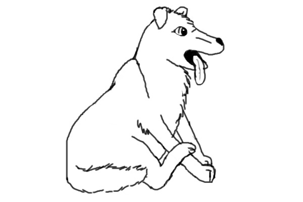 Adopt a Dog! :D
