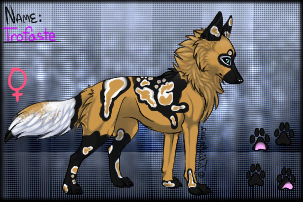 Trofaste- African wild painted dog