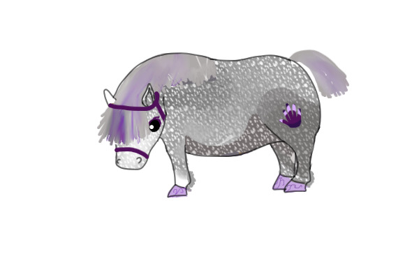 Purple dapple gray owned by Cherrypaw