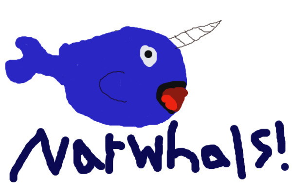 narwhal!
